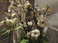 -华夏良子·足道·SPA·艾灸(苏州桥店)