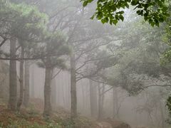 -北京鹫峰国家森林公园