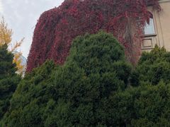 -辽宁大学(崇山校区)