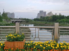 -保定东湖公园(莲池区)