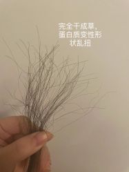 -BENSON沙龙