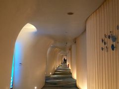 -深圳东部华侨城瀑布酒店