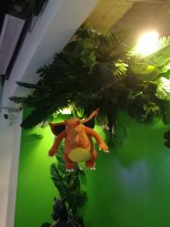 -恐龙探索乐园(磁器口店)