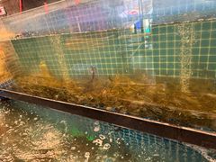 -虾王农家乐(鼎湖店)