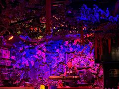 -周庄红庭演艺酒吧