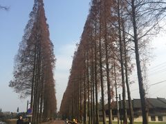 -青城道汤池