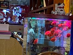 -东北人家铁锅炖(鞍山路店)