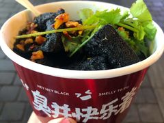 -黑色经典臭豆腐·长沙鲜食商店(坡子街店)