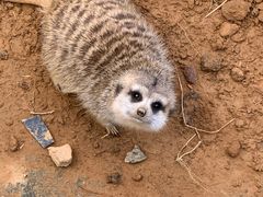 -杭州野生动物世界