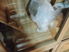 -白兔子密室(长寿路店)