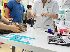 -瑞派动物医院·猫专科·至诚(江南中分院)