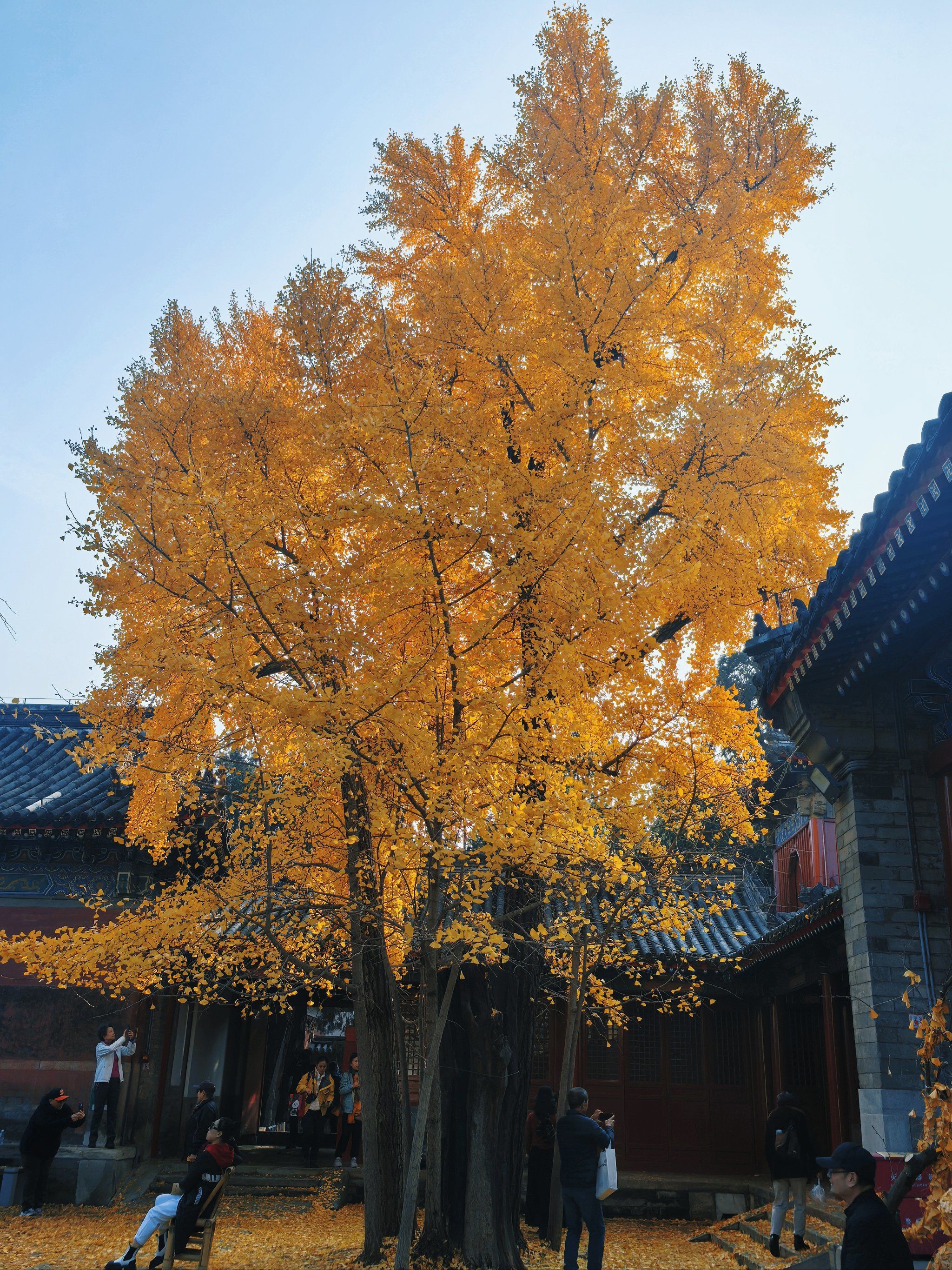 承恩寺里看金秋