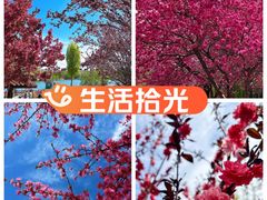 -河北省园博园