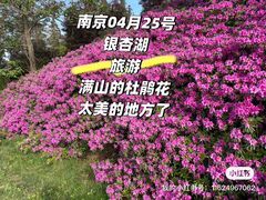 -南京银杏湖乐园