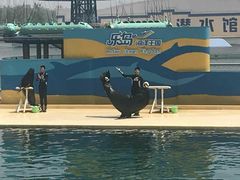 -秦皇岛乐岛海洋王国