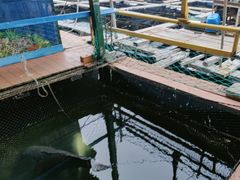-蓝湾碧波·老字号·疍家非遗海上餐厅