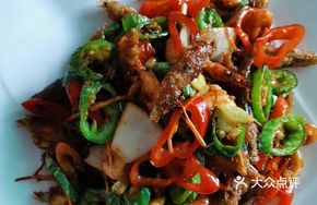 Mountain Stream Fish and Shrimp