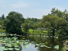 -上海海湾国家森林公园