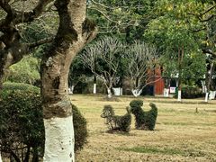 -广西壮族自治区药用植物园