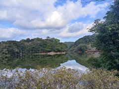 -广州市石门国家森林公园