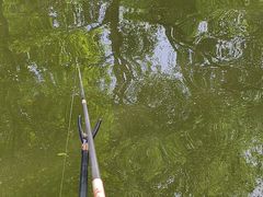 -酷鱼垂钓CLUB(朝阳区博大路店 )