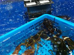 -盒马鲜生(昆城店)