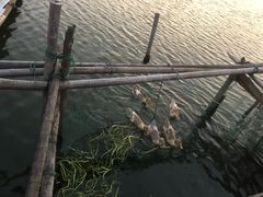 -君豪蟹都·湖景·农家乐(蟹舫苑店)