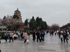 -大慈恩寺(大雁塔)