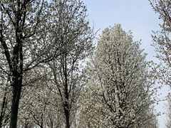 -南京枫彩漫城
