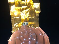 -大金鹰园