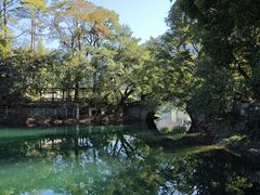 -广州市流溪河国家森林公园