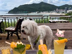 -Brew Farm·精酿农场海滨悬崖餐厅
