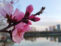 -青城公园