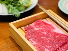 -胜博殿霸王树(嘉里中心店)
