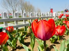 -廊坊文化艺术中心