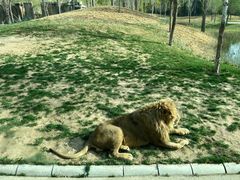 -北京野生动物园