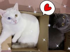 -爱诺耐芙动物医院(万博店)