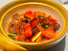 -子福慧(虹桥店)