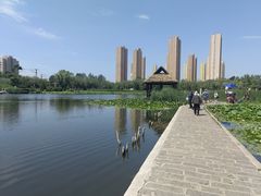 -前关湿地公园