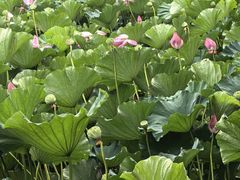 -烟水渔庄餐厅(西溪湿地店)