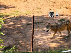 -青藏高原野生动物园