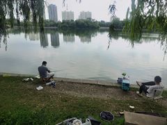 -莱西月湖公园