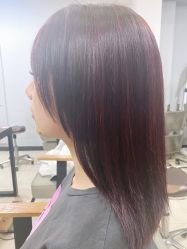 -小桑树染烫改变专门店