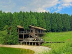 -武陵山森林公园