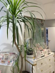 -染指坊日式美甲美睫设计中心