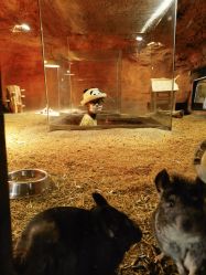 -酷嗒动物文化乐园(cutezoo西溪乐天城店)