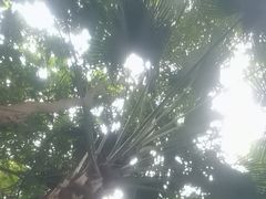 -碧水湾温泉