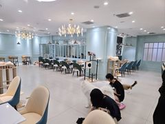 -安格丽娜·狗咖·猫咖羊驼咖(春熙路百盛商场店)