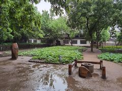 -绍兴鲁迅故里·沈园景区