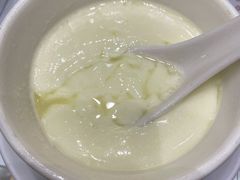 姜撞奶-义顺牛奶公司(新马路老店)